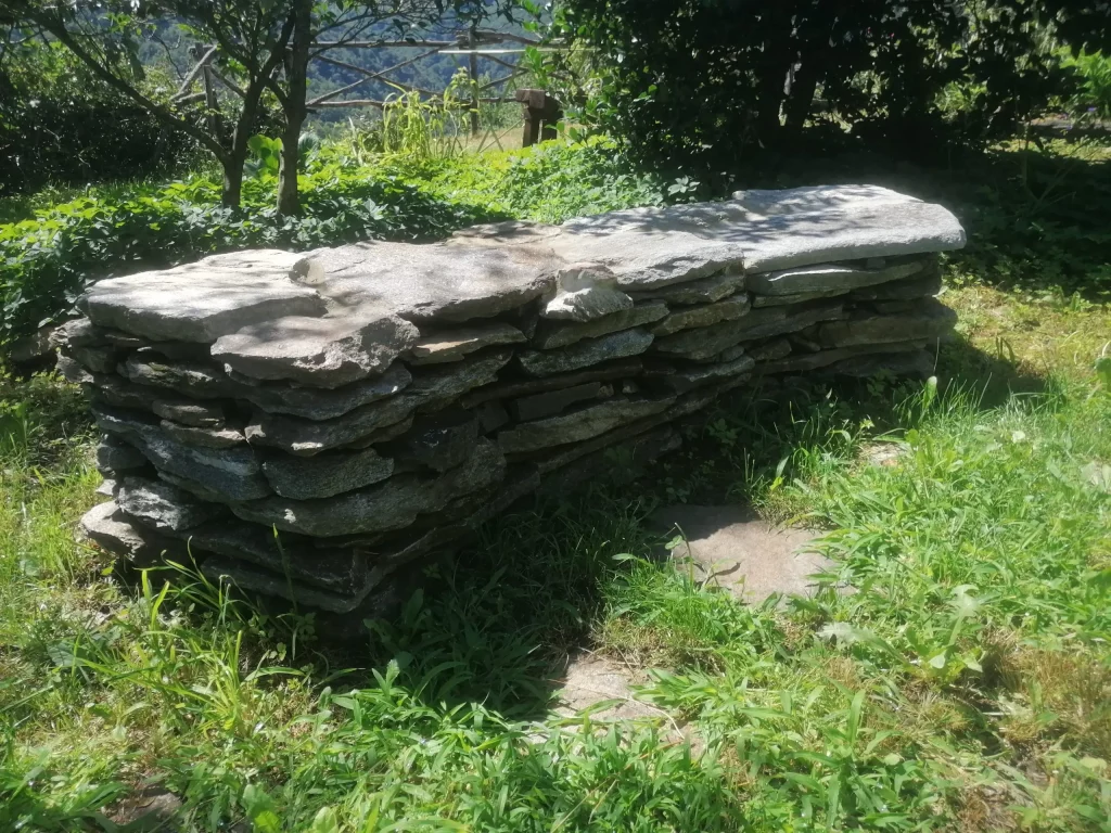 IMG 20220730 1120331 scaled