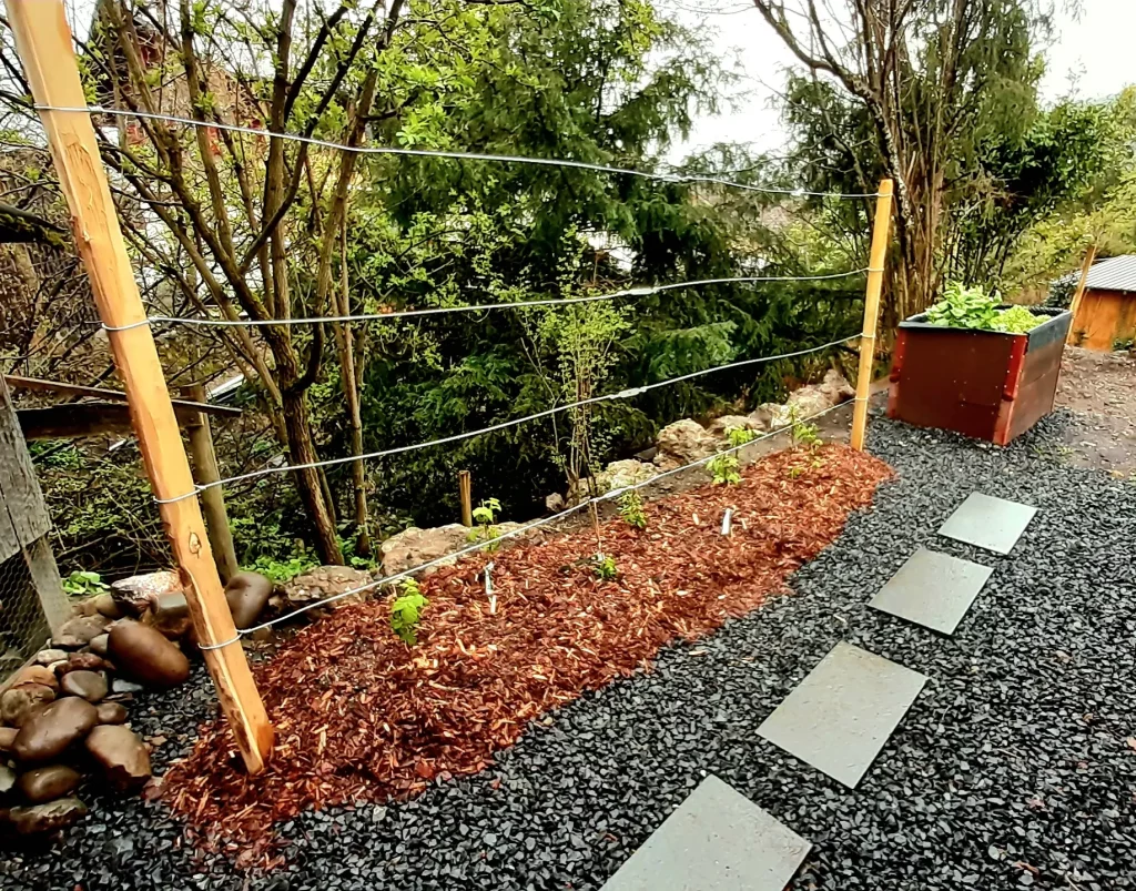 Naschecke im Naturgarten