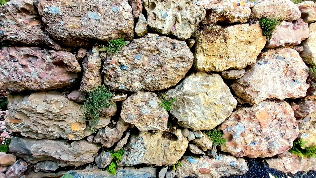 Die Natursteinmauer wird begrünt.