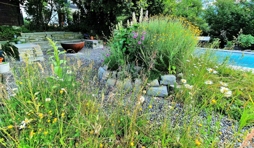 Nur eine unserer Naturgarten-Ideen, vielleicht bald auch Ihre Persönliche in Ihrem Garten?