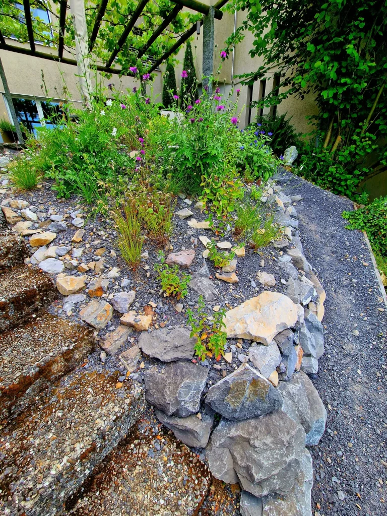 Die wertvollere Alternative zu Steinwüsten.