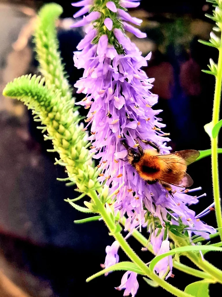 Es kann sehr spannend sein, auf einem Balkon zu sein.