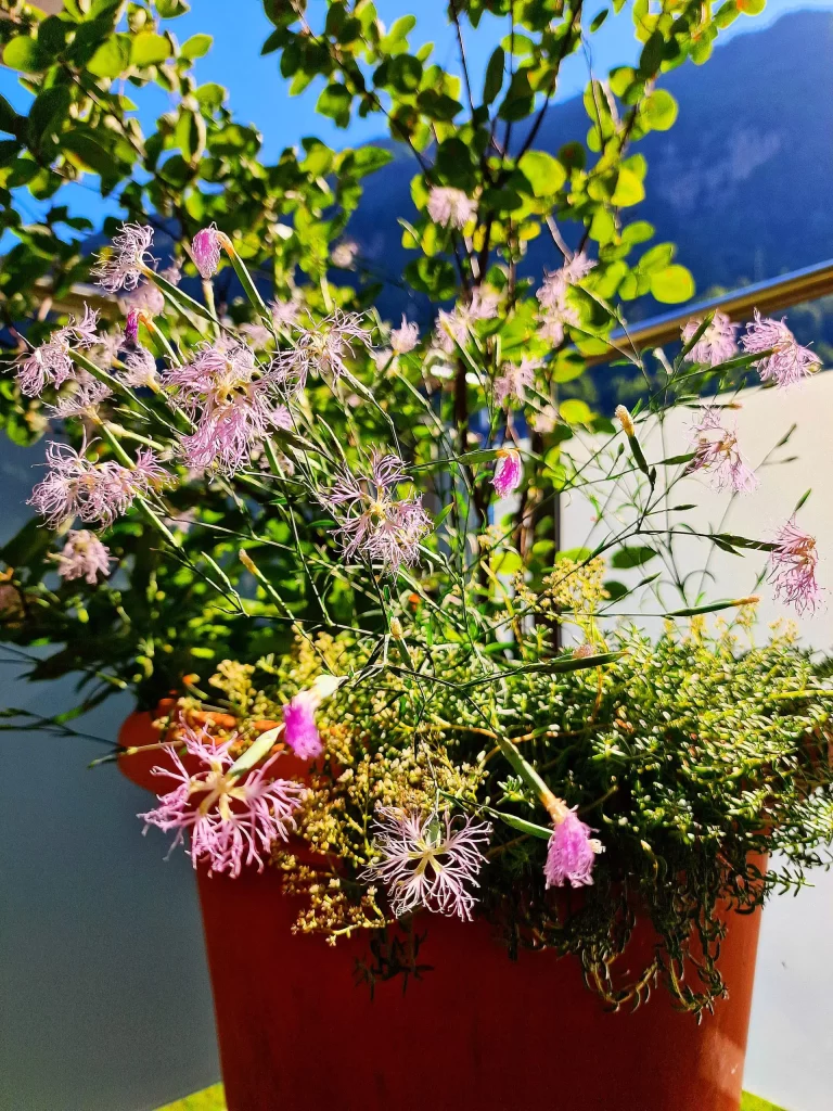 Wertvolle und ästhetische Balkone