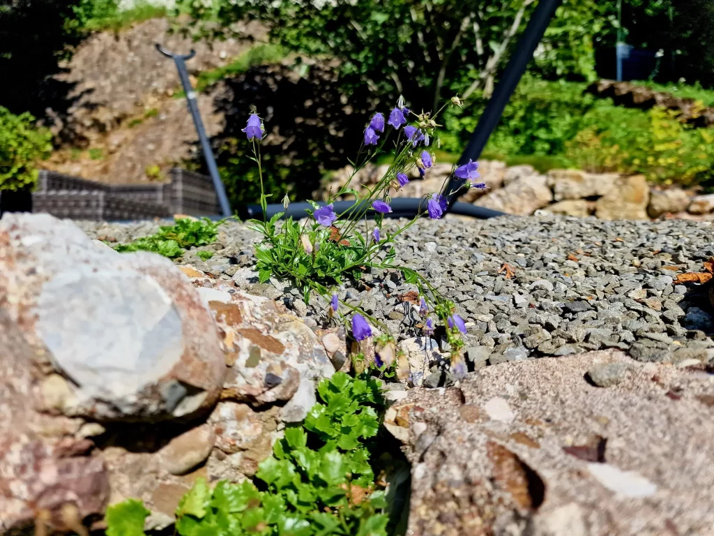 Niedlich, robust, schön und nützlich.