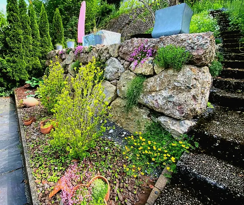 Belebung einer Trockensteinmauer